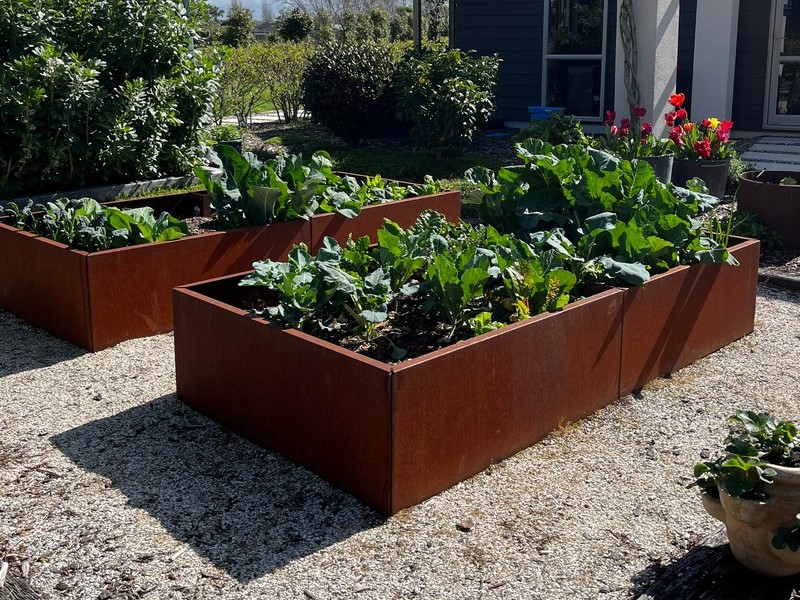 Rectangular planter 1000L x 1000W x 900T